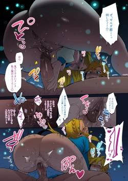 Page 14 of Hyrule Hanei no Tame no Katsudou! | Taking Steps to Ensure Hyrule's Prosperity!