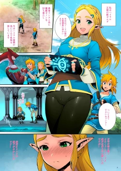 Page 4 of Hyrule Hanei no Tame no Katsudou! | Taking Steps to Ensure Hyrule's Prosperity!