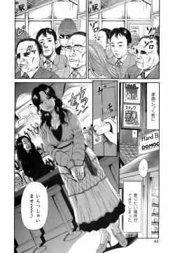 Page 45 of Dareka no Okusan