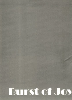 Page 17 of Burst of Joy