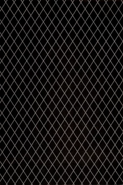 Page 102 of x2 ASSORT2