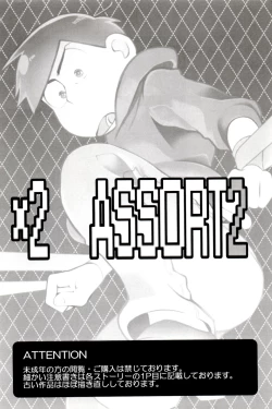 Page 3 of x2 ASSORT2