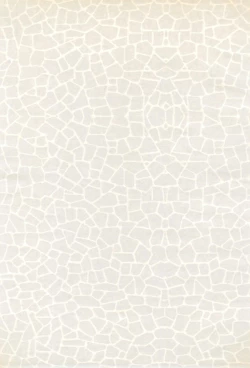 Page 3 of Bunshin Reppuu-ken