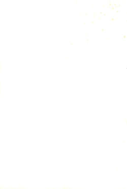 Page 43 of Fan Fan April