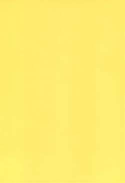 Page 42 of Funsen! Gunvarion Version up.001