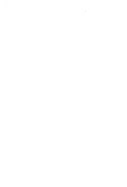 Page 2 of Ijippari na