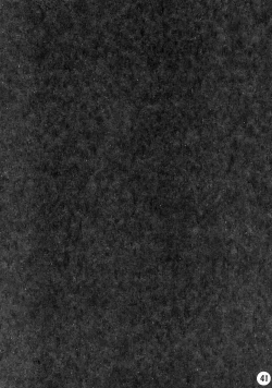 Page 42 of Ruru Haramix! Joukan