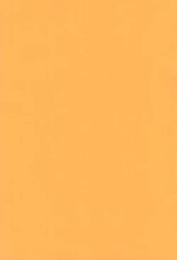 Page 19 of Iincho vs Ecchiman