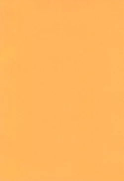 Page 2 of Iincho vs Ecchiman