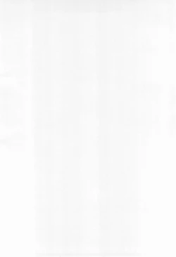 Page 34 of BM HAMTARO