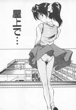 Page 11 of Pikkoman no Fukubukuro