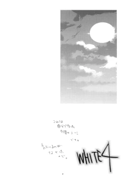 Page 3 of WHITE 4