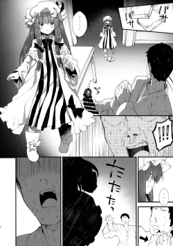 Page 5 of Patchouli-chan to Sukebe Suru Hon