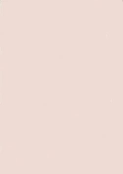 Page 4 of Abyssinian