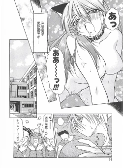 Page 64 of Abyssinian