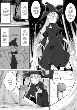 Page 3 of Tedare no Majo ni wa Kanawa nai | I'm no match for a master witch