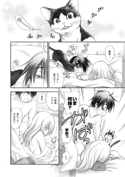 Page 33 of Hako no Naka no Neko Soushuuhen