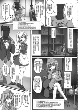 Page 8 of Izayoi Sakuya Kyousei Zecchou Souchi