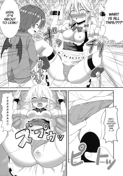 Page 15 of Touhou Seitenkan