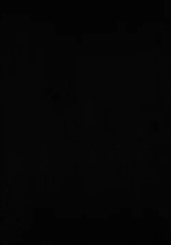 Page 4 of Motto Milk 4