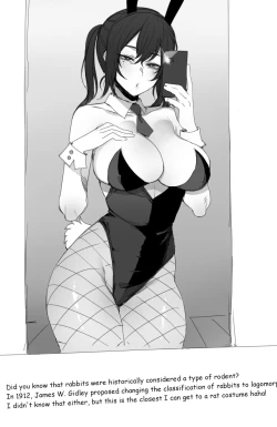 Page 11 of 11/2021 reward - Shitpost