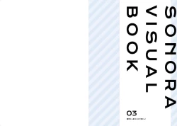 Page 22 of Sonora Visual Book