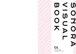 Page 2 of Sonora Visual Book