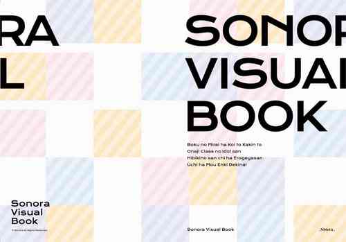Download Sonora Visual Book
