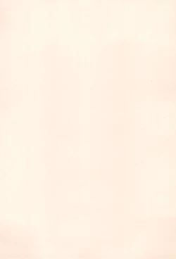 Page 3 of TOPPING MATERIAL