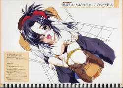 Page 17 of Original Picture Collection