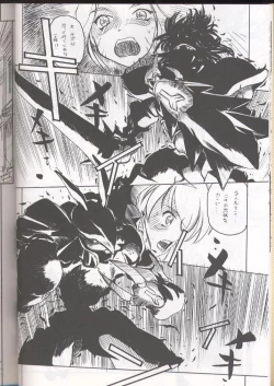 Page 17 of E-RO² III