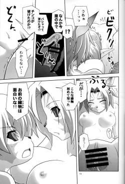 Page 14 of Irojiro Mithran Tarutaru