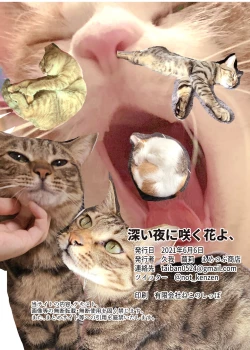 Page 22 of Fukai Ya ni Saku Hana yo