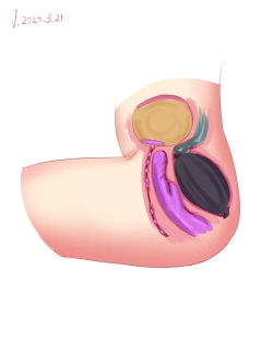 Page 195 of VV__SXX 58170013