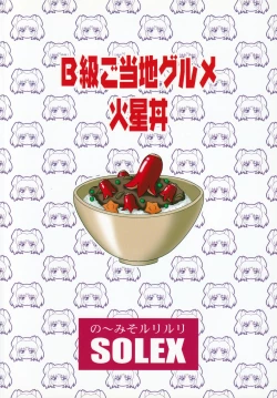 Page 30 of RURIMIX SP11