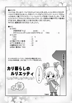 Page 3 of RURIMIX SP11