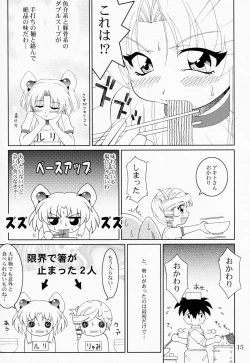 Page 14 of RURIMIX SP9