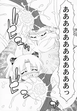 Page 26 of RURIMIX SP9