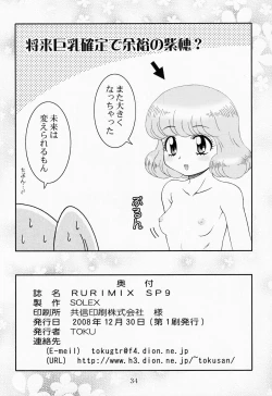 Page 33 of RURIMIX SP9