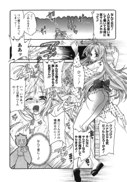 Page 111 of Hakonde Nyanko!