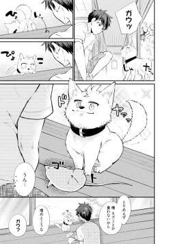 Page 110 of Ookami-san to Eroi koto