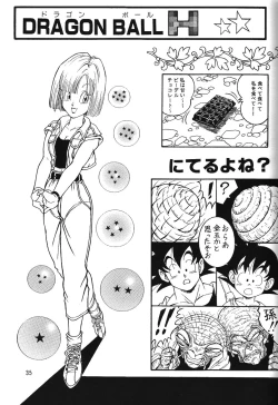 Page 34 of DragonBall H Maki San