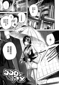 Page 52 of Shiko Splash + 4P Leaflet