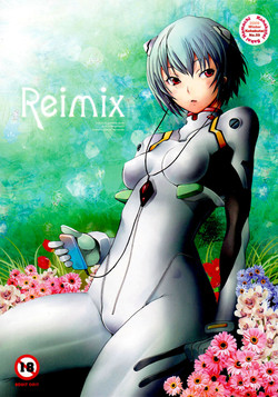 Download Reimix