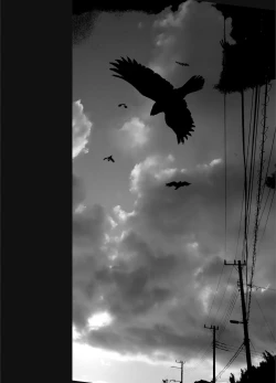 Page 68 of Ane o Utta 2 Shounen M ga Mita Otona no Seibouryoku