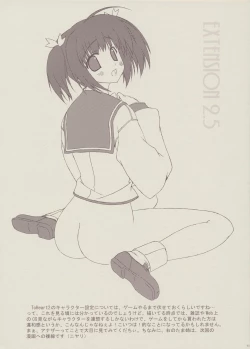 Page 3 of EXTENSION 2.5