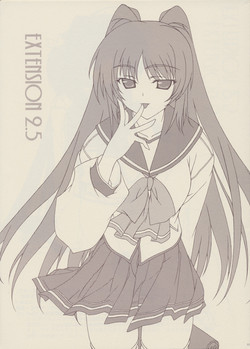 Download EXTENSION 2.5