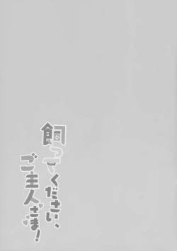 Page 20 of Katte Kudasai, Goshujin-sama!