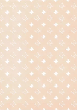 Page 3 of Kisekae Flan-chan