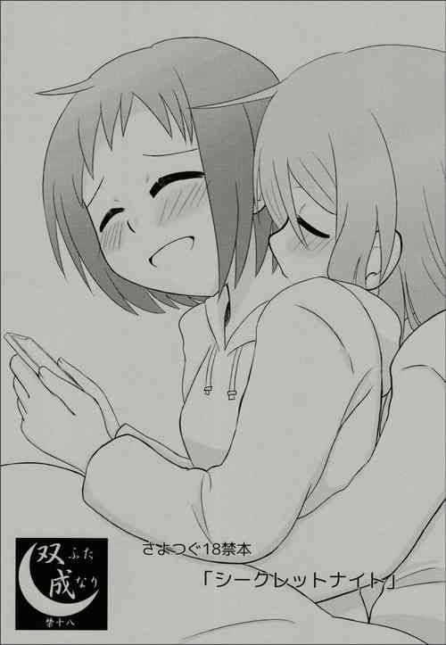 Download Secret Night